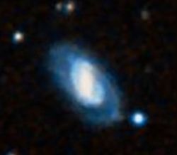 NGC 19